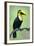 Keel-Billed toucan (Ramphastos sulfuratus), Sarapiqui, Costa Rica-null-Framed Photographic Print