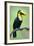 Keel-Billed toucan (Ramphastos sulfuratus), Sarapiqui, Costa Rica-null-Framed Photographic Print