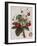 Keen's Strawberry Seedling-null-Framed Giclee Print