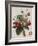 Keen's Strawberry Seedling-null-Framed Giclee Print