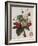 Keen's Strawberry Seedling-null-Framed Giclee Print