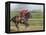 Keenland Horse Race Track, Lexington, Kentucky, USA-Michele Molinari-Framed Premier Image Canvas