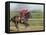 Keenland Horse Race Track, Lexington, Kentucky, USA-Michele Molinari-Framed Premier Image Canvas