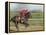 Keenland Horse Race Track, Lexington, Kentucky, USA-Michele Molinari-Framed Premier Image Canvas