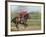 Keenland Horse Race Track, Lexington, Kentucky, USA-Michele Molinari-Framed Photographic Print