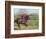 Keenland Horse Race Track, Lexington, Kentucky, USA-Michele Molinari-Framed Photographic Print