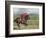 Keenland Horse Race Track, Lexington, Kentucky, USA-Michele Molinari-Framed Photographic Print