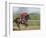 Keenland Horse Race Track, Lexington, Kentucky, USA-Michele Molinari-Framed Photographic Print