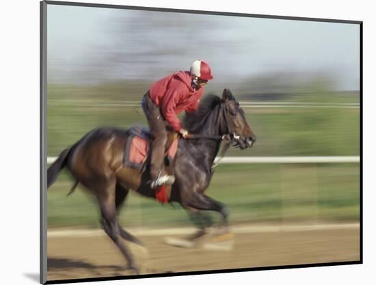 Keenland Horse Race Track, Lexington, Kentucky, USA-Michele Molinari-Mounted Photographic Print