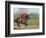 Keenland Horse Race Track, Lexington, Kentucky, USA-Michele Molinari-Framed Photographic Print