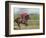 Keenland Horse Race Track, Lexington, Kentucky, USA-Michele Molinari-Framed Photographic Print