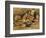 Keeoma-Charles Marion Russell-Framed Art Print