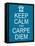 Keep Calm and Carpe Diem-mybaitshop-Framed Stretched Canvas