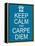 Keep Calm and Carpe Diem-mybaitshop-Framed Stretched Canvas