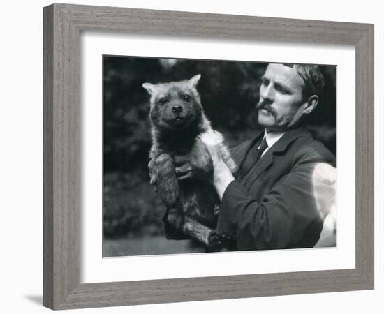 Keeper Charles Dixon Holding Up a Baby Hyaena at London Zoo, 1919-Frederick William Bond-Framed Photographic Print