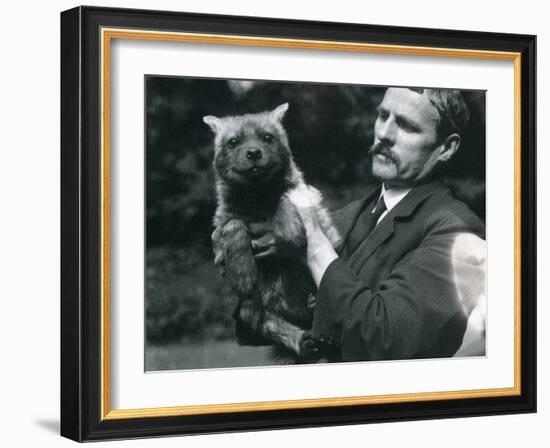 Keeper Charles Dixon Holding Up a Baby Hyaena at London Zoo, 1919-Frederick William Bond-Framed Photographic Print