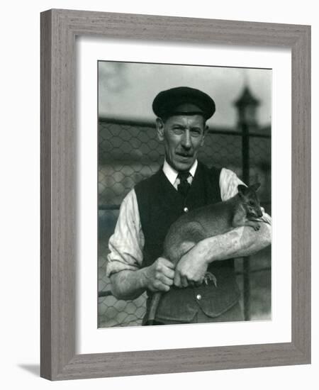 Keeper G. Blore Holding a Wallaby at London Zoo, October 1920-Frederick William Bond-Framed Photographic Print