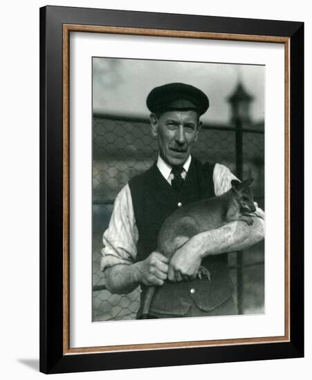 Keeper G. Blore Holding a Wallaby at London Zoo, October 1920-Frederick William Bond-Framed Photographic Print