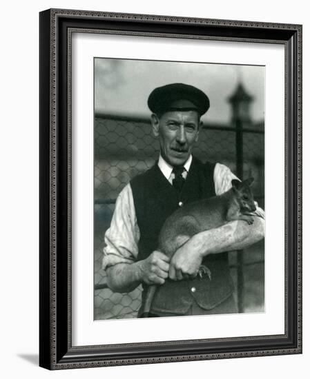 Keeper G. Blore Holding a Wallaby at London Zoo, October 1920-Frederick William Bond-Framed Photographic Print