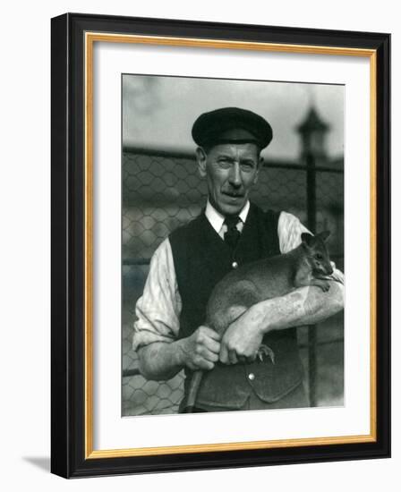 Keeper G. Blore Holding a Wallaby at London Zoo, October 1920-Frederick William Bond-Framed Photographic Print