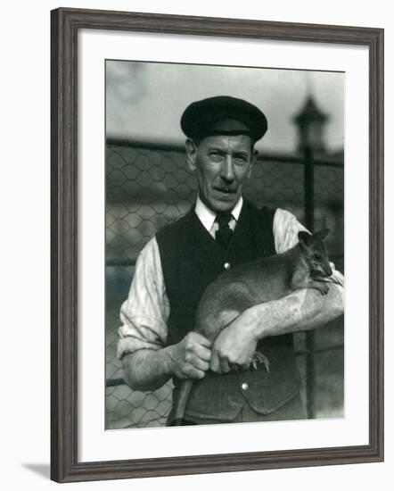 Keeper G. Blore Holding a Wallaby at London Zoo, October 1920-Frederick William Bond-Framed Photographic Print