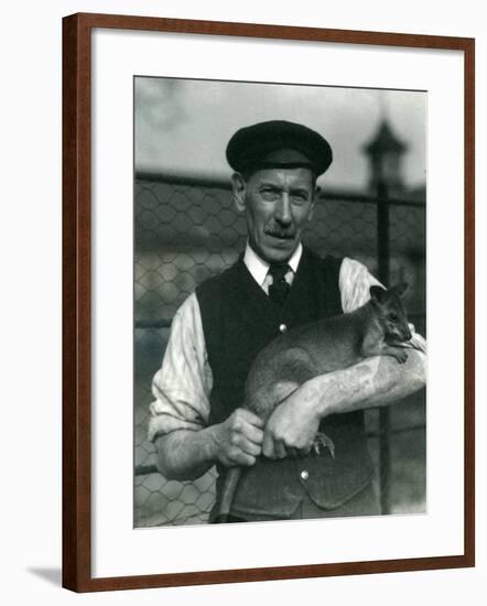 Keeper G. Blore Holding a Wallaby at London Zoo, October 1920-Frederick William Bond-Framed Photographic Print