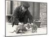 Keeper, H. Warwick, with a Tiger Cub and a Peccary, Taken at Zsl London Zoo, May 1914-Frederick William Bond-Mounted Photographic Print