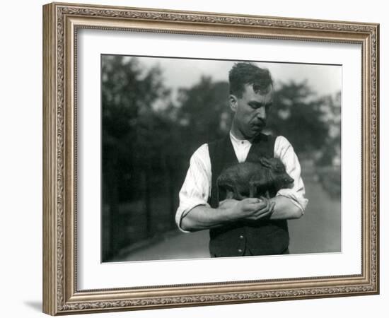 Keeper Harry Warwick Cradles a Baby Warthog in His Arms at London Zoo, August 1922-Frederick William Bond-Framed Photographic Print