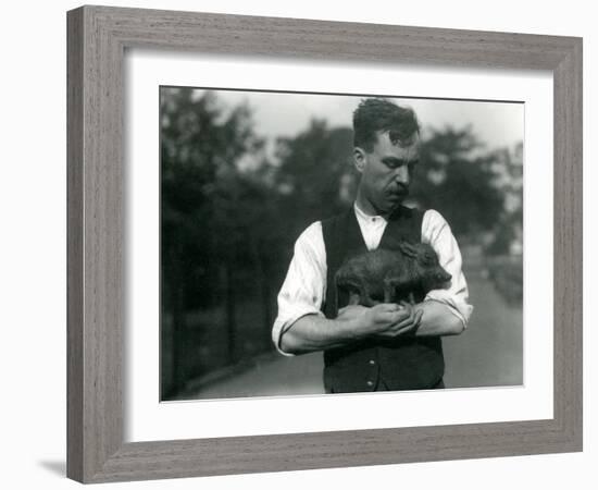 Keeper Harry Warwick Cradles a Baby Warthog in His Arms at London Zoo, August 1922-Frederick William Bond-Framed Photographic Print