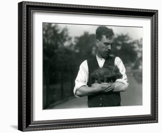 Keeper Harry Warwick Cradles a Baby Warthog in His Arms at London Zoo, August 1922-Frederick William Bond-Framed Photographic Print