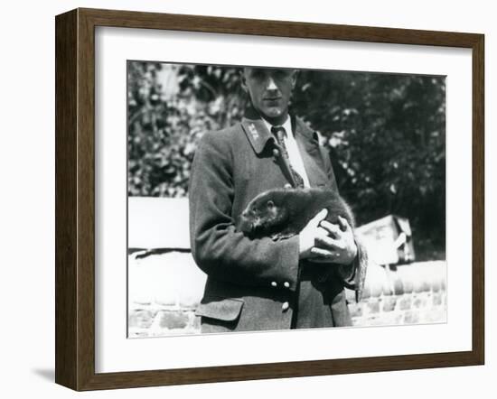 Keeper Leslie Martin Flewin Cradles an Otter Pup in His Arms at London Zoo, June 1922-Frederick William Bond-Framed Photographic Print