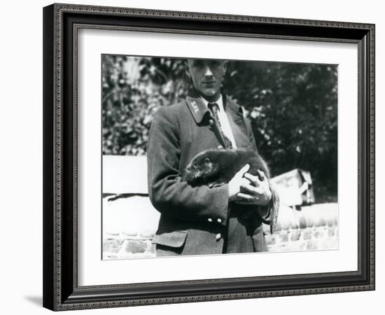 Keeper Leslie Martin Flewin Cradles an Otter Pup in His Arms at London Zoo, June 1922-Frederick William Bond-Framed Photographic Print