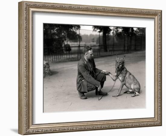 Keeper Leslie Martin Flewin with Peter, a Tame Wolf-Frederick William Bond-Framed Photographic Print