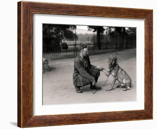 Keeper Leslie Martin Flewin with Peter, a Tame Wolf-Frederick William Bond-Framed Photographic Print