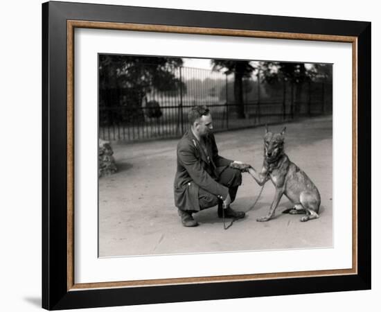 Keeper Leslie Martin Flewin with Peter, a Tame Wolf-Frederick William Bond-Framed Photographic Print