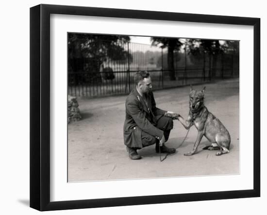 Keeper Leslie Martin Flewin with Peter, a Tame Wolf-Frederick William Bond-Framed Photographic Print