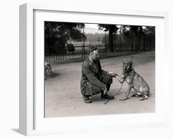 Keeper Leslie Martin Flewin with Peter, a Tame Wolf-Frederick William Bond-Framed Photographic Print