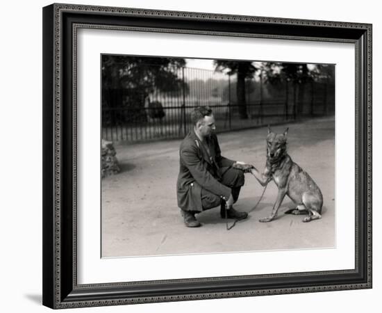 Keeper Leslie Martin Flewin with Peter, a Tame Wolf-Frederick William Bond-Framed Photographic Print