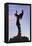 Keeper of the Plains Statue, Wichita, Kansas, USA-Walter Bibikow-Framed Premier Image Canvas