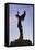 Keeper of the Plains Statue, Wichita, Kansas, USA-Walter Bibikow-Framed Premier Image Canvas