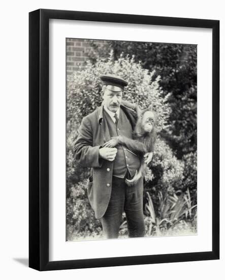 Keeper Z. Rodwell Holding Young Orangutan at London Zoo, October 1913-Frederick William Bond-Framed Photographic Print