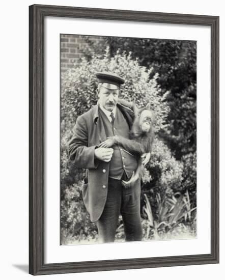 Keeper Z. Rodwell Holding Young Orangutan at London Zoo, October 1913-Frederick William Bond-Framed Photographic Print