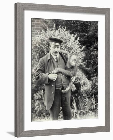 Keeper Z. Rodwell Holding Young Orangutan at London Zoo, October 1913-Frederick William Bond-Framed Photographic Print