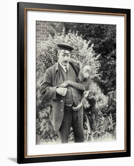 Keeper Z. Rodwell Holding Young Orangutan at London Zoo, October 1913-Frederick William Bond-Framed Photographic Print