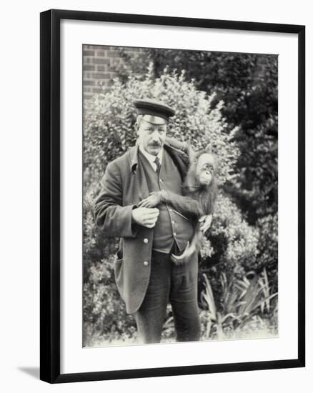 Keeper Z. Rodwell Holding Young Orangutan at London Zoo, October 1913-Frederick William Bond-Framed Photographic Print