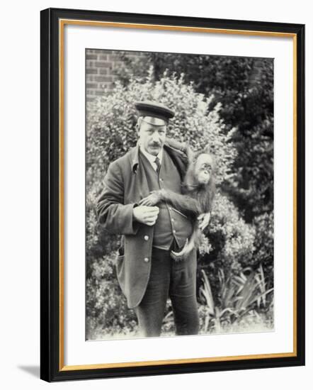 Keeper Z. Rodwell Holding Young Orangutan at London Zoo, October 1913-Frederick William Bond-Framed Photographic Print