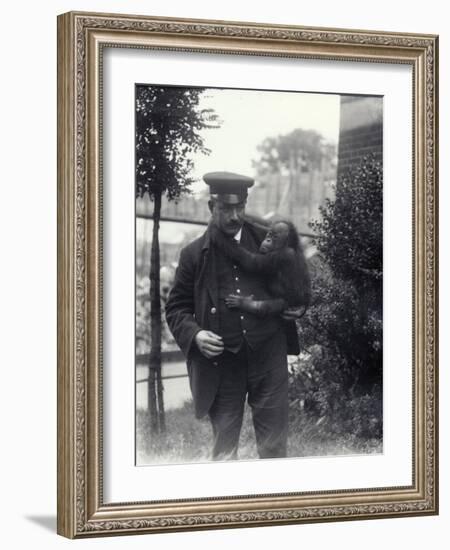 Keeper Z. Rodwell Holding Young Orangutan at London Zoo, October 1913-Frederick William Bond-Framed Photographic Print