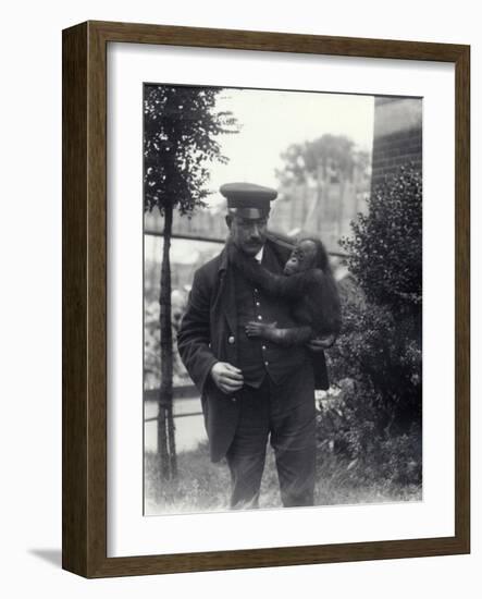 Keeper Z. Rodwell Holding Young Orangutan at London Zoo, October 1913-Frederick William Bond-Framed Photographic Print