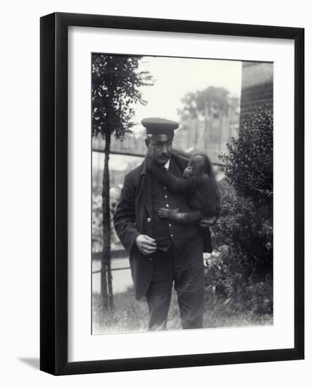 Keeper Z. Rodwell Holding Young Orangutan at London Zoo, October 1913-Frederick William Bond-Framed Photographic Print