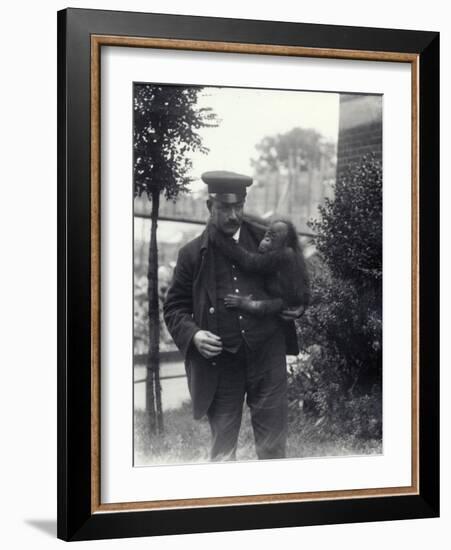 Keeper Z. Rodwell Holding Young Orangutan at London Zoo, October 1913-Frederick William Bond-Framed Photographic Print